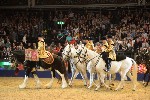 Cavalry - 00069